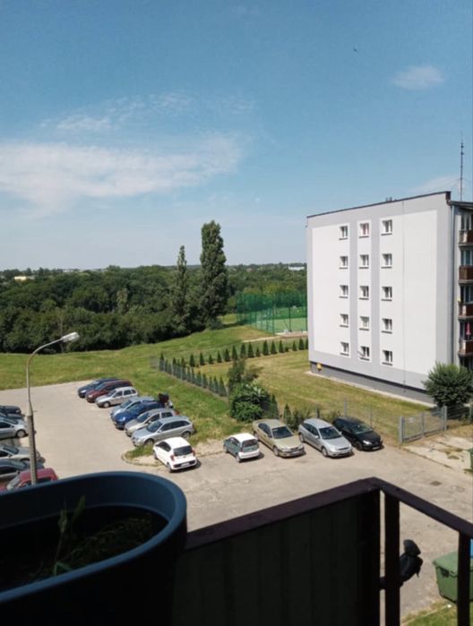 Wynajmę mieszkanie na Skarpie
