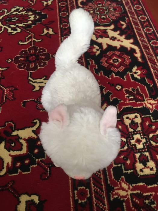 Белая кошечка