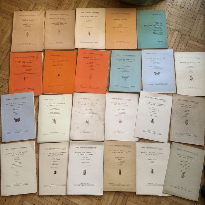 22 + 1 klucze do oznaczania owadów Polski 1955 do 1980 niski naklad