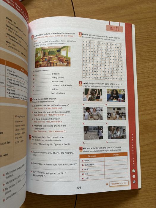 Revisões para todo o ano 6 ano