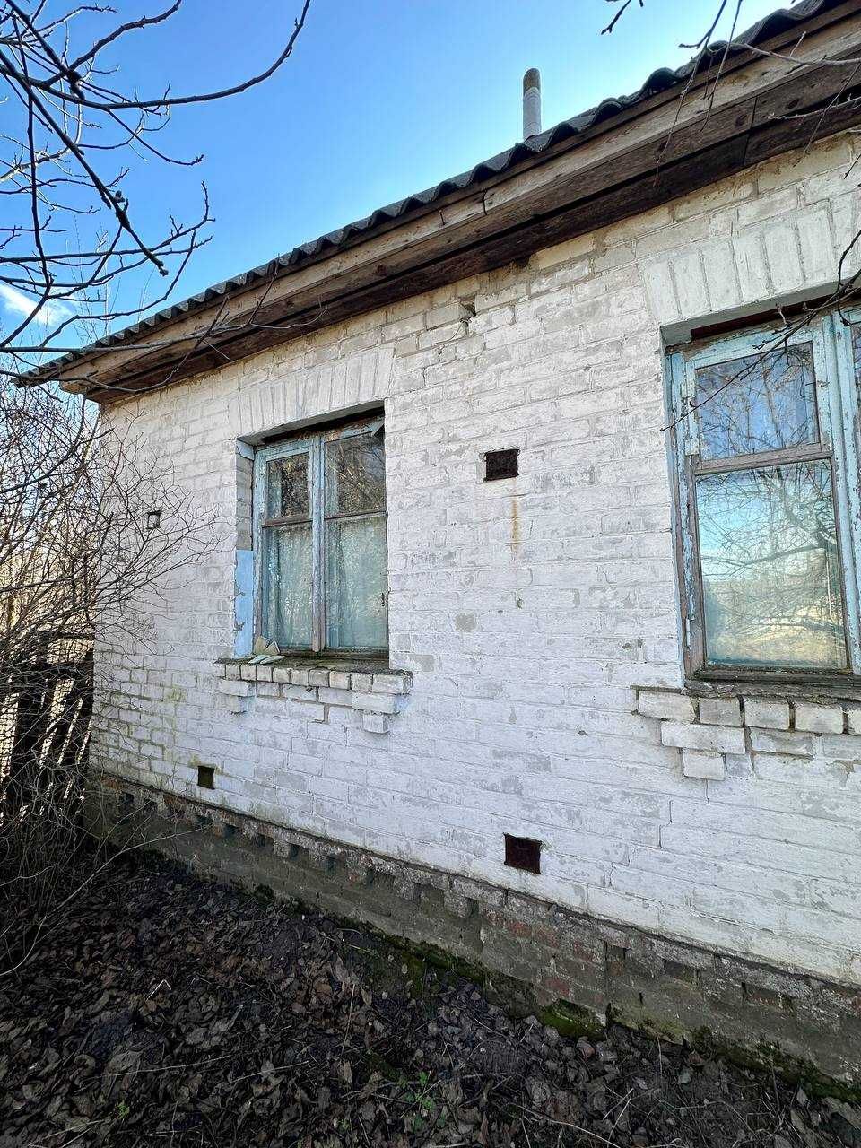 Дачний будинок,село Довжик 25 км від Чернігова (NN)