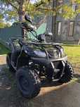 Квадроцикл Shineray rover 250