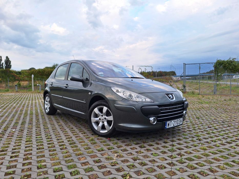 Peugeot 307 Feline 2.0 177km lpg