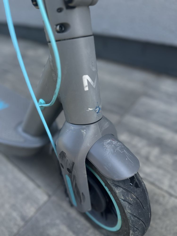 Motus scooty 10 2022
