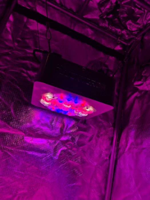 Growbox namiot do uprawy roślin, lampa, filtr - Odbior Osobisty Wwa