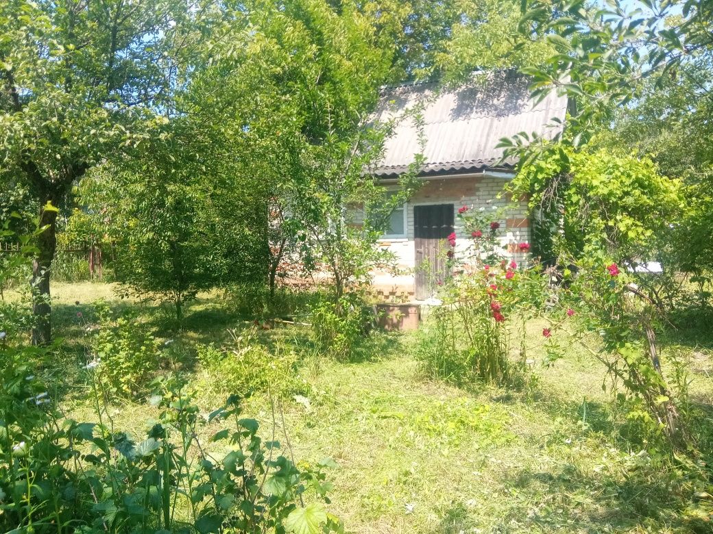 Продам дачный участок с домом с. Караван Малая Даниловка
