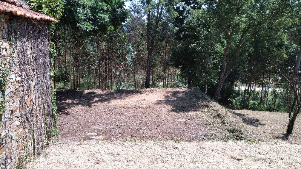 Terreno/quinta com pequena edificação