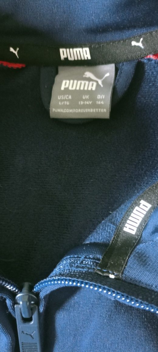 dresy puma dwa komplety