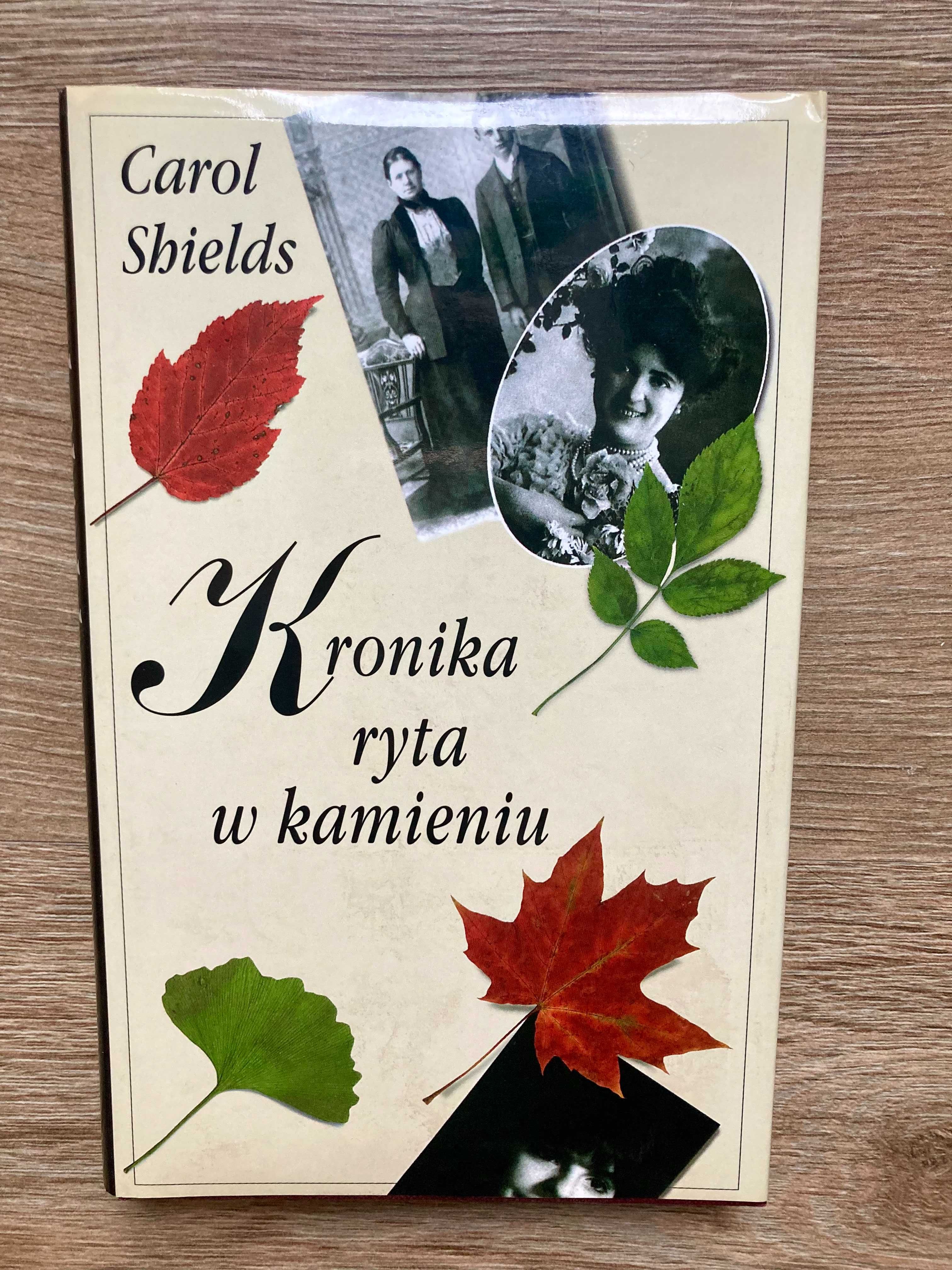 Kronika ryta w kamieniu-Carol Shields, Powieść obyczajowa