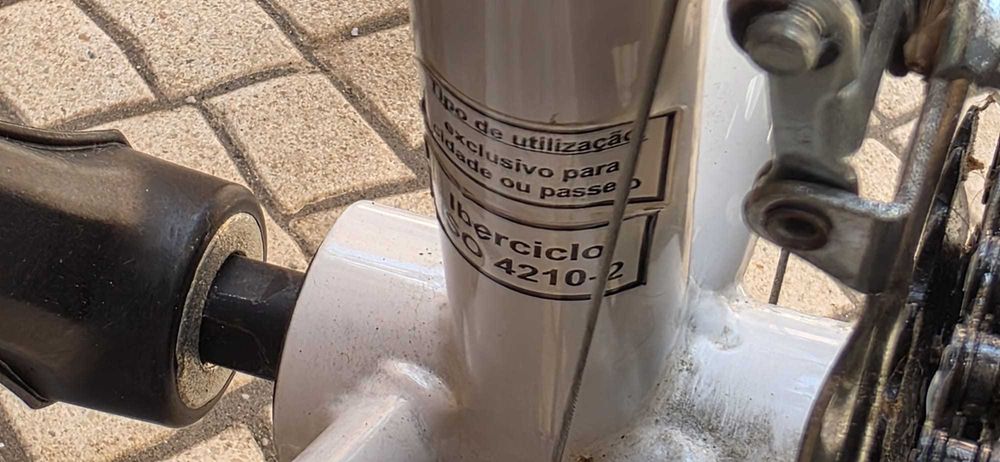 Bicicleta Venus roda 20