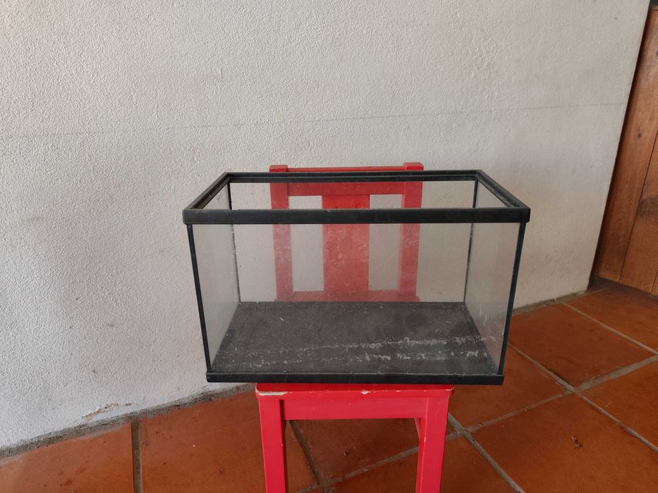 Aquário e tartarugueira