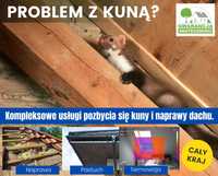 Zwalczanie kuny pastuch na domu i naprawa szkód w dachu Katowice