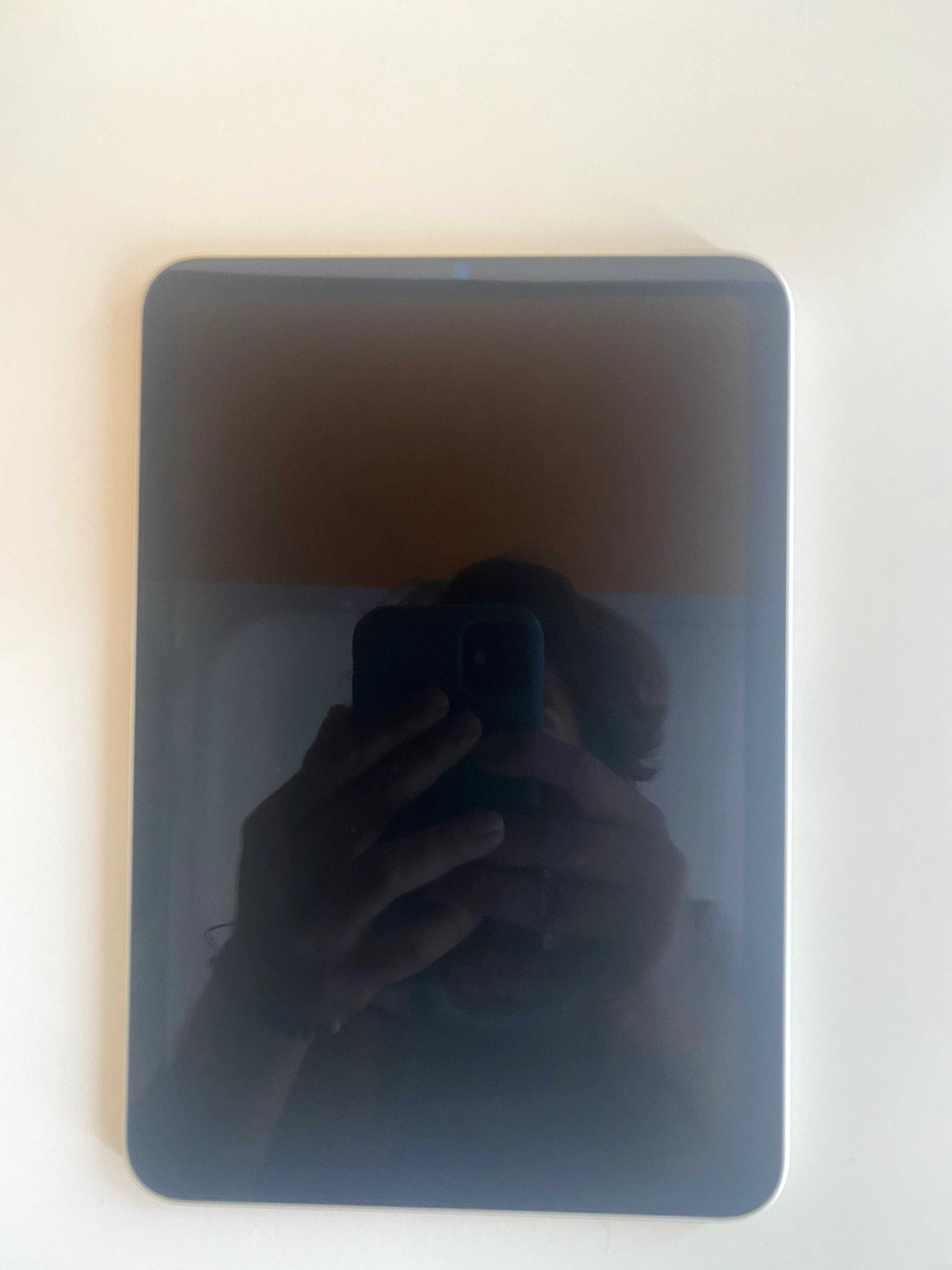 Ipad Mini (6th Generation) com Apple Pencil (USB-C) - 256 GB