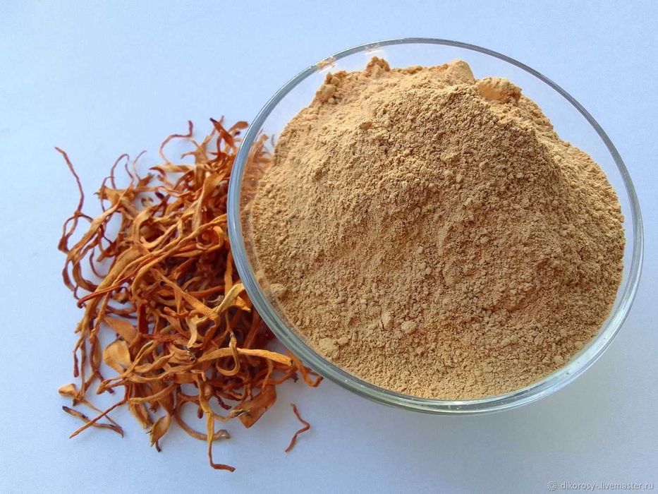 Пищевая добавка гриб Кордицепс Military порошок 100 грамм