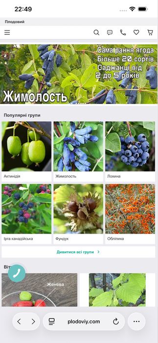 Жимолость саджанці 3 річні