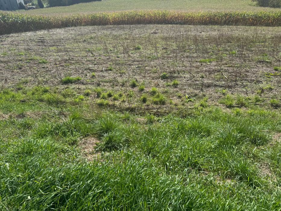 Działka budowlana  z pozwoleniem na budowę  2 X BLIŻNIAK / 4 segmenty/