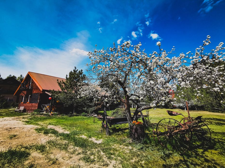 Agroturystyka Noclegi pracownicze