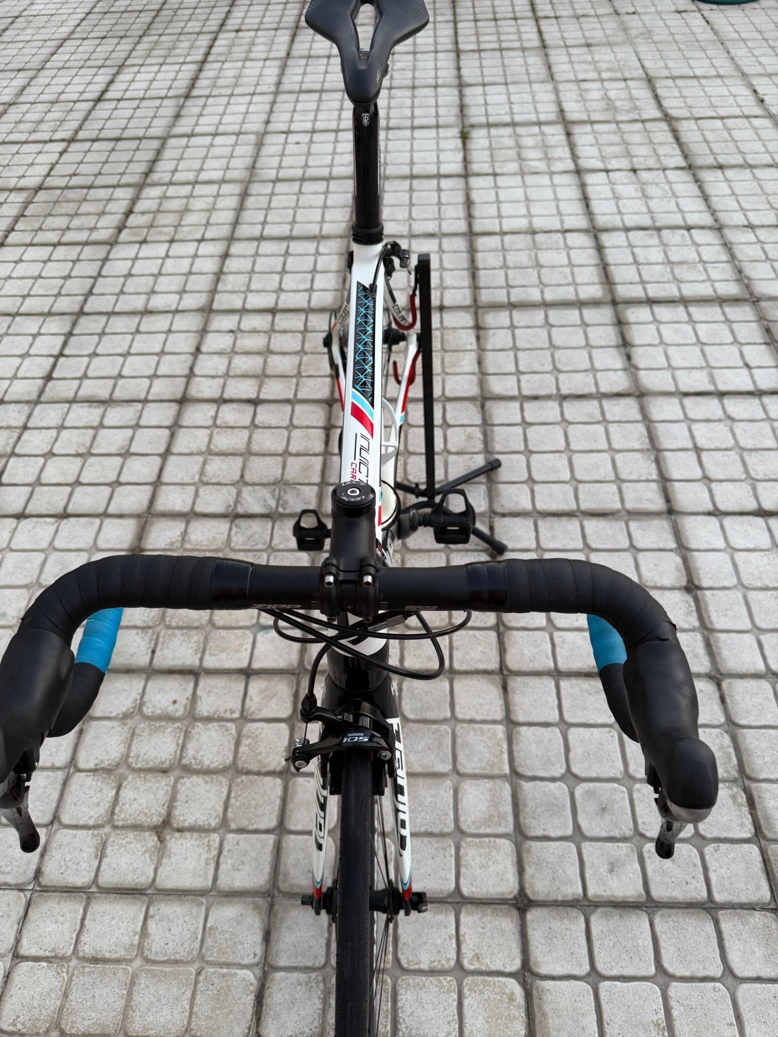 Coluer invicta Carbon