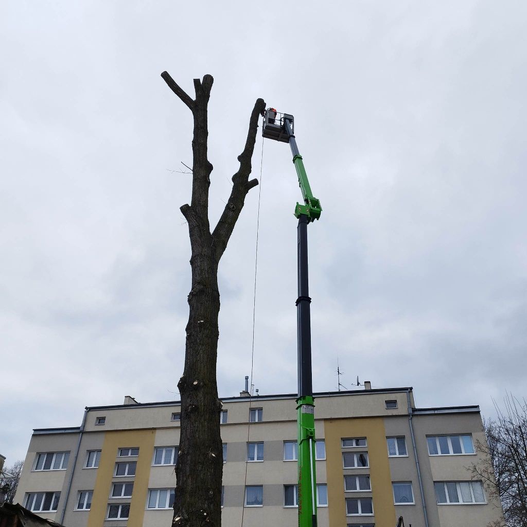 Wycinka Drzew,Rębak,Karczowanie Terenów,Koparka,Chwytak