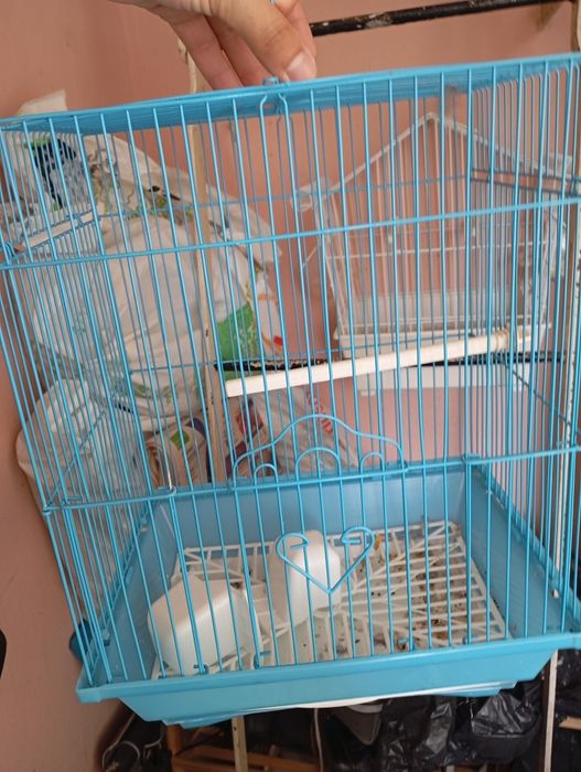 Gaiola Azul Completa