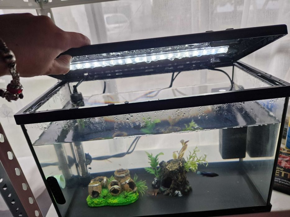 Aquário de 22L novo
