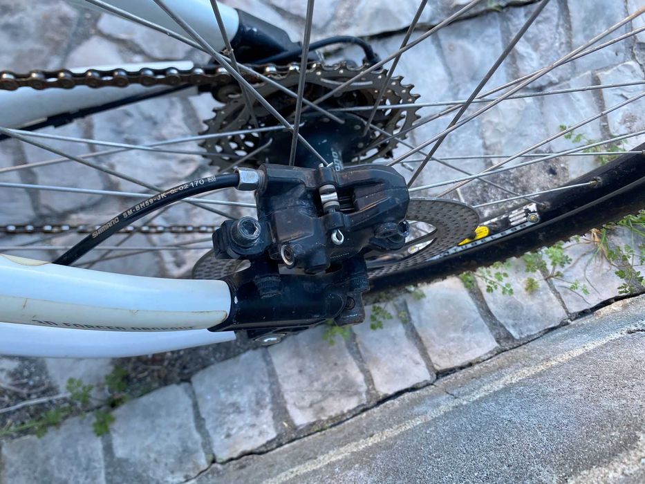 Canyon lux carbono