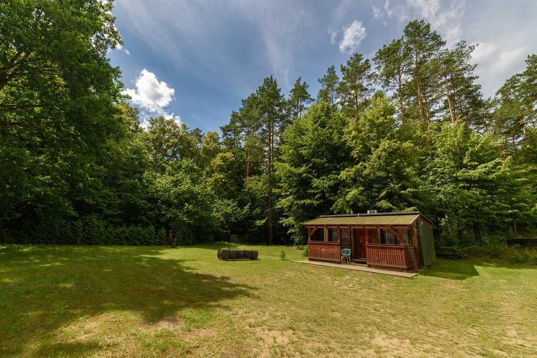 Domek Zielony Jedyny na działce mazury do wynajęcia Mikołajki Iznota