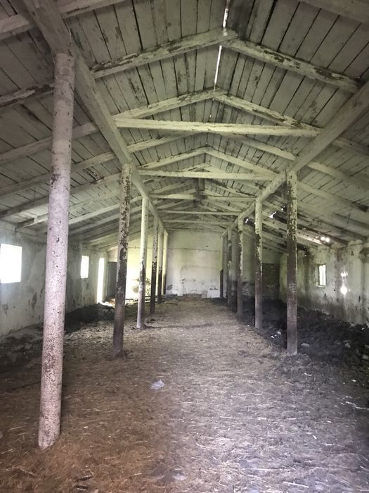 Продам ферму 5,65га землі, 3147м.кв. Будівель