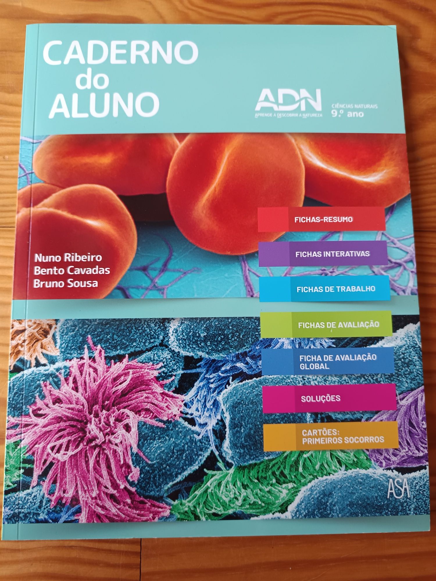 ADN 9 - Manual e caderno do aluno
