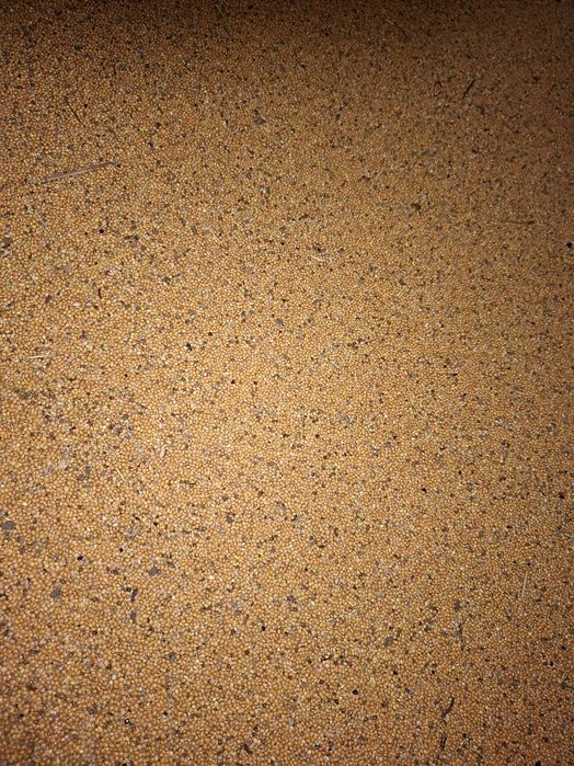 Proso żołte 25kg wysyłka olx