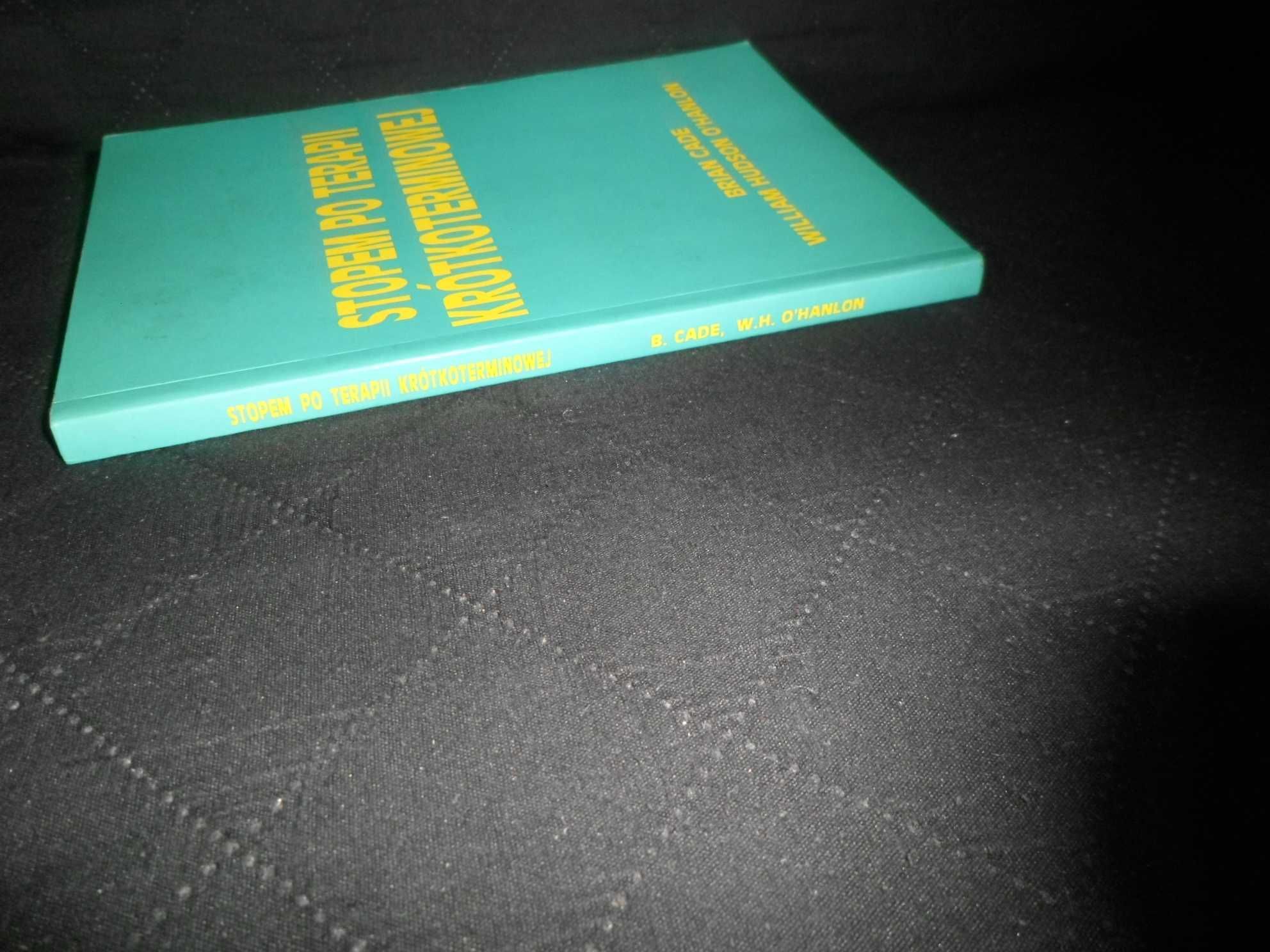 Stopem Po Terapii Krótkoterminowej Brian Cade, William Hudson O'hanlon