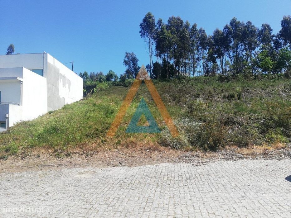 Lotes De Terreno Para Construção Em Sanguedo