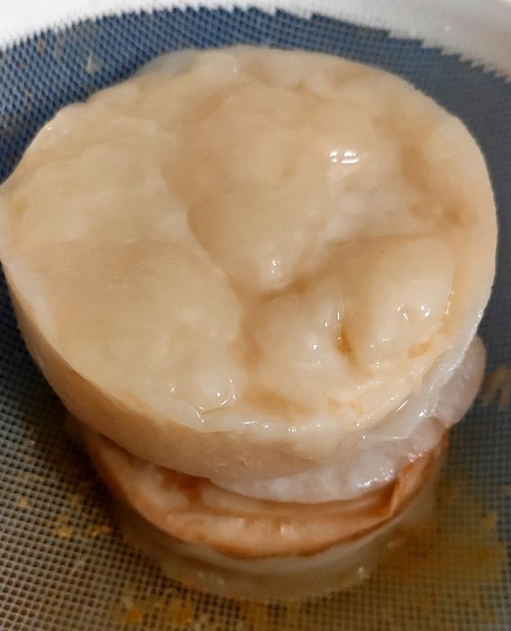 Bolacha Kombucha e Madre de vinagre de sidra