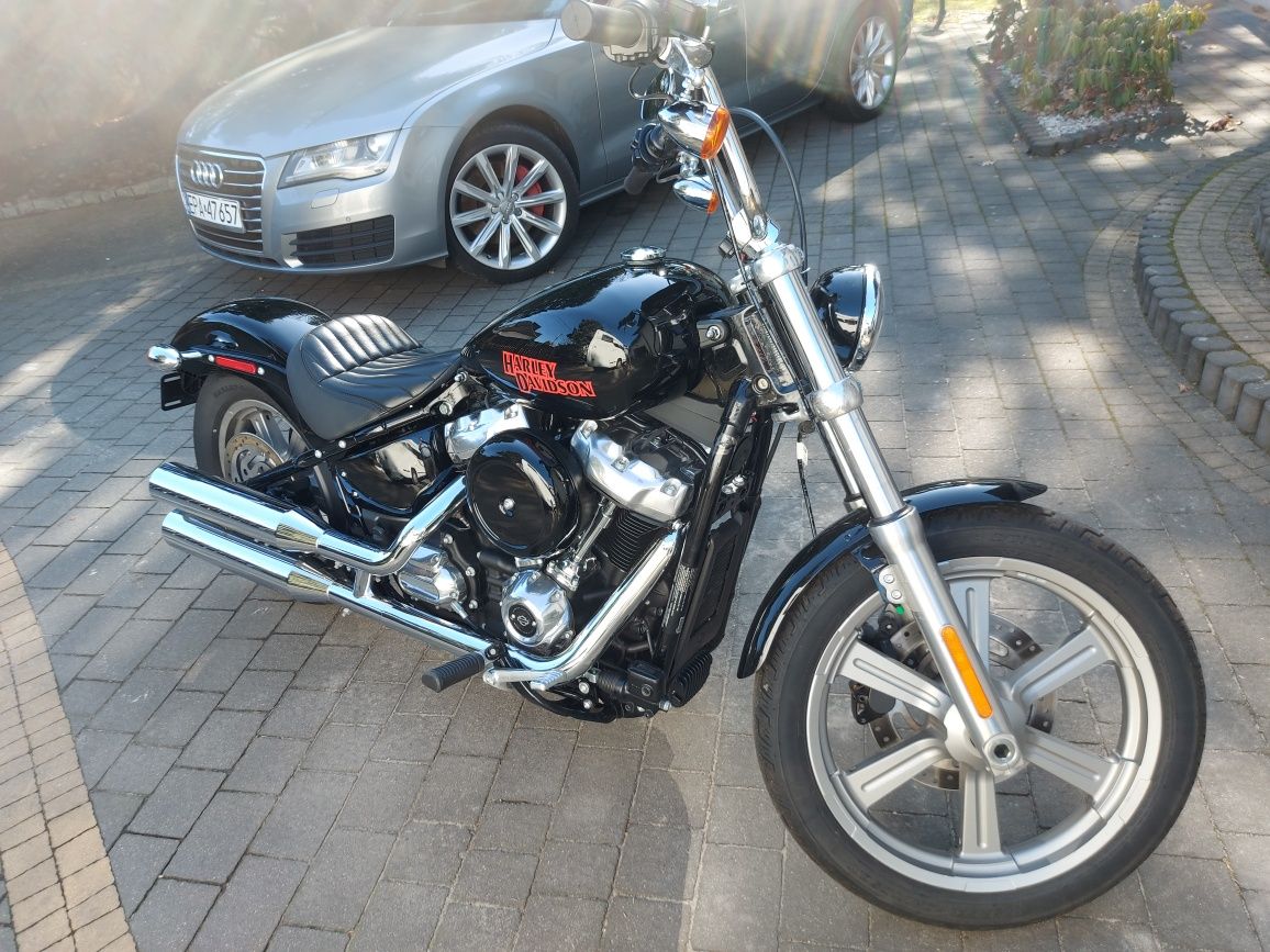 Harley Davidson Softail Standard 2024 rok Zamiana na kamper k