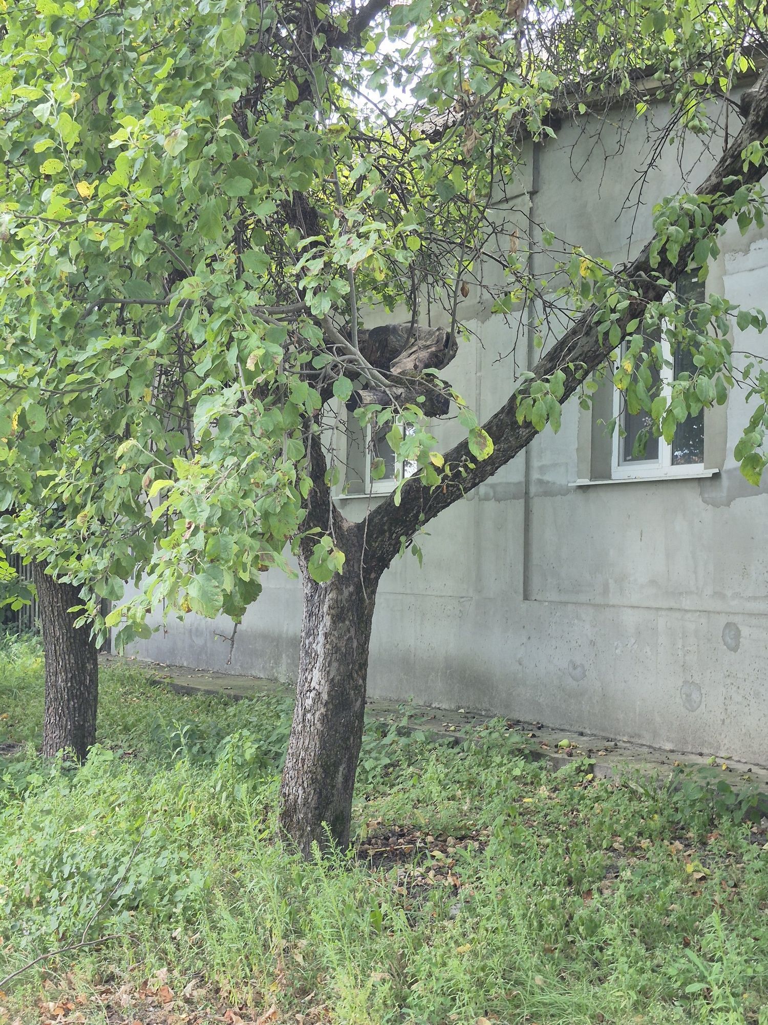Продаж будинку в м. КРОЛЕВЕЦЬ