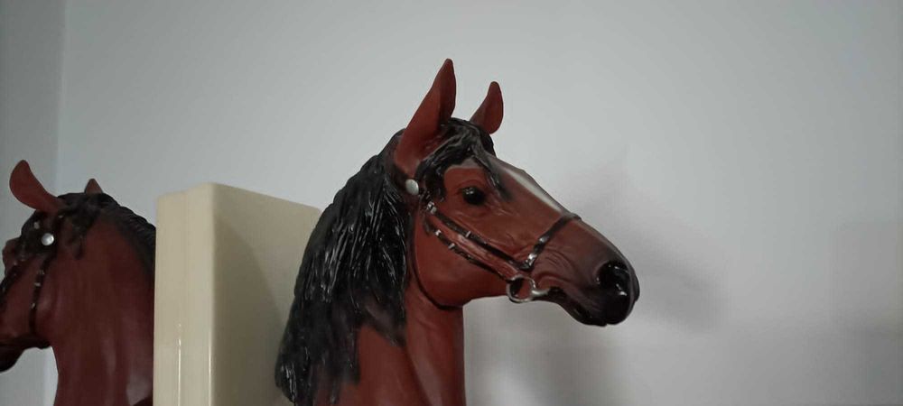 Cerra livros com cavalos