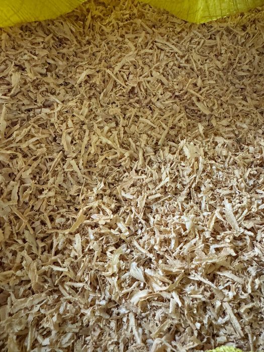 Fitas de Madeira / Aparas Secas