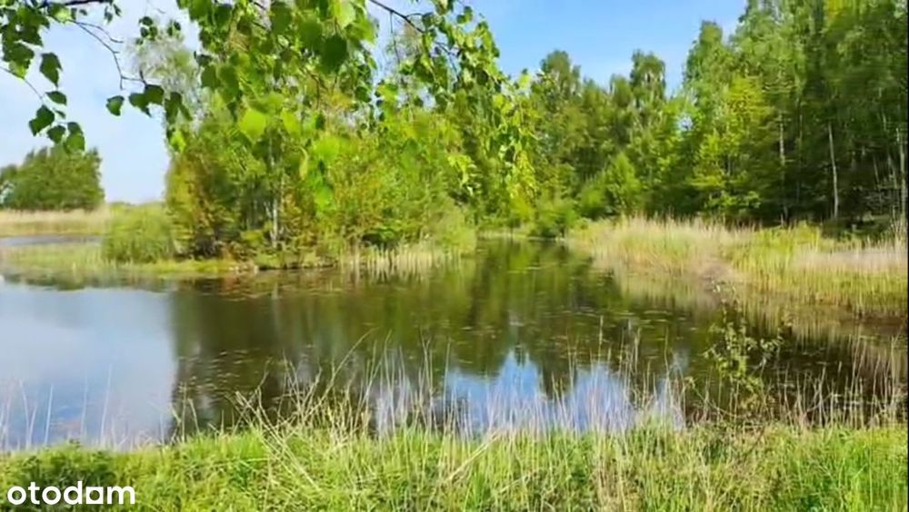 Duża działka przy lesie z widokiem na staw / WZ