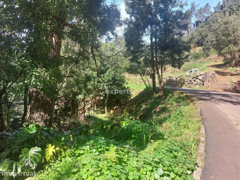 Terreno com 2327m² em São Vicente