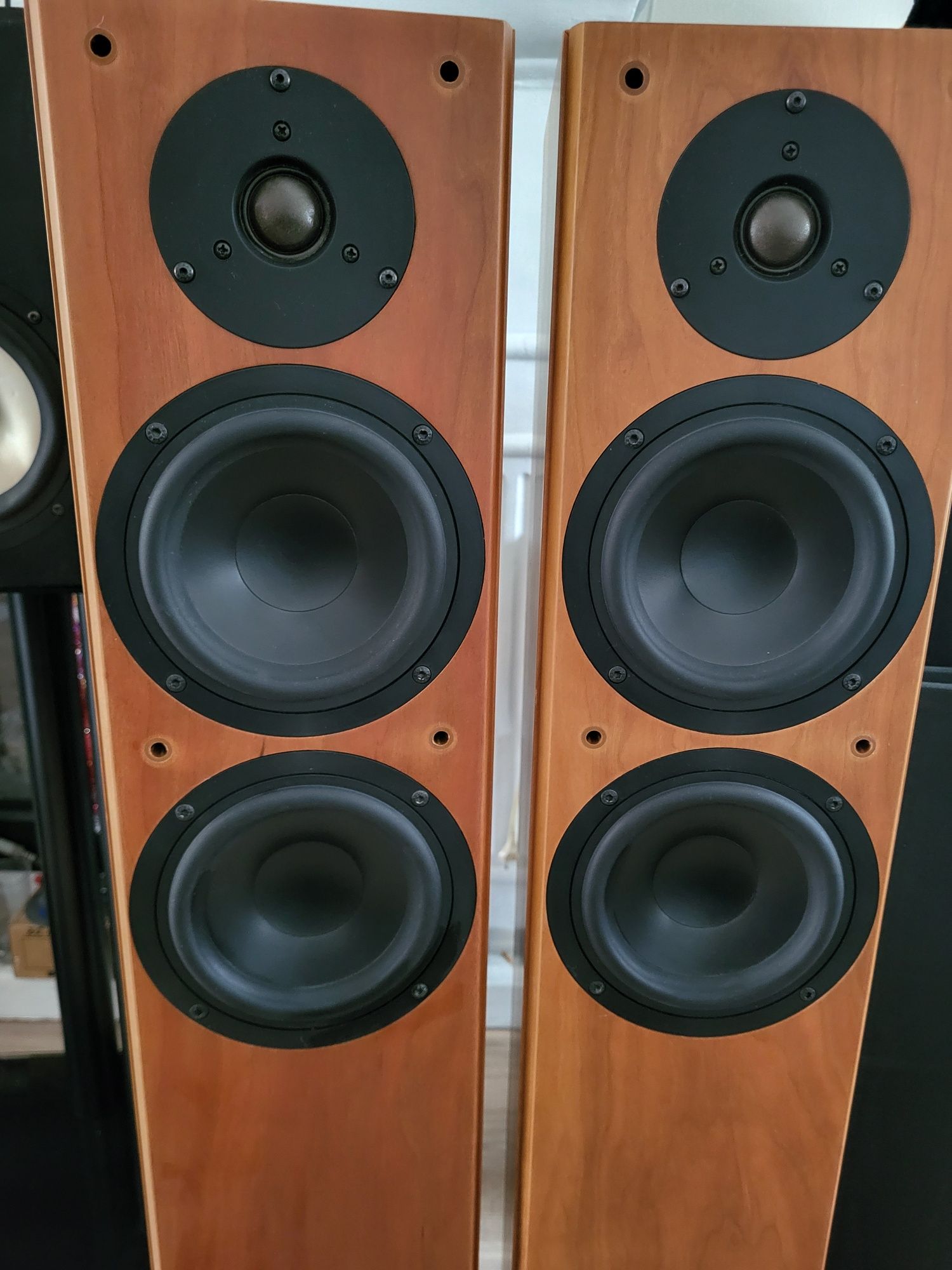 Tannoy R2 kolumny podłogowe
