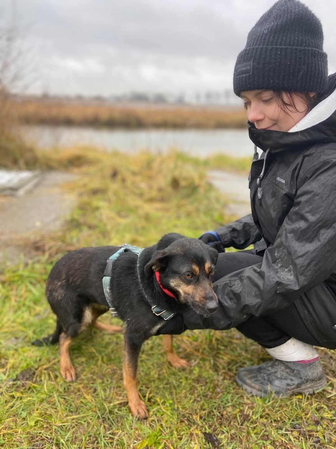 Malutka i młodziutka sunia do adopcji