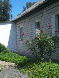 Продам 2 будинка на одному подвір'ї с. Левків