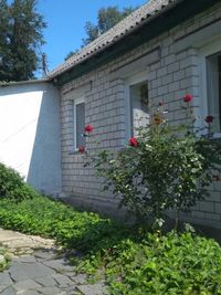 Продам 2 будинка на одному подвір'ї с. Левків