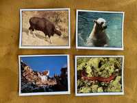 Naklejki Panini WWF nr 4 28 32 i 215 - Zwierzęta chronione