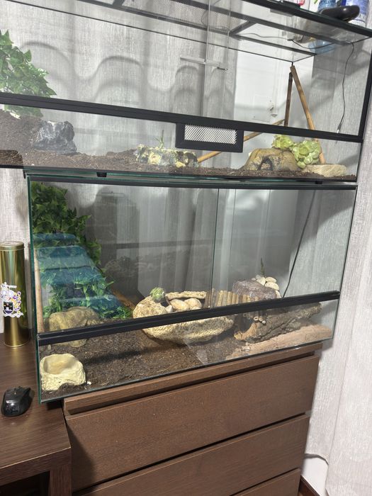 Terrário para repteis