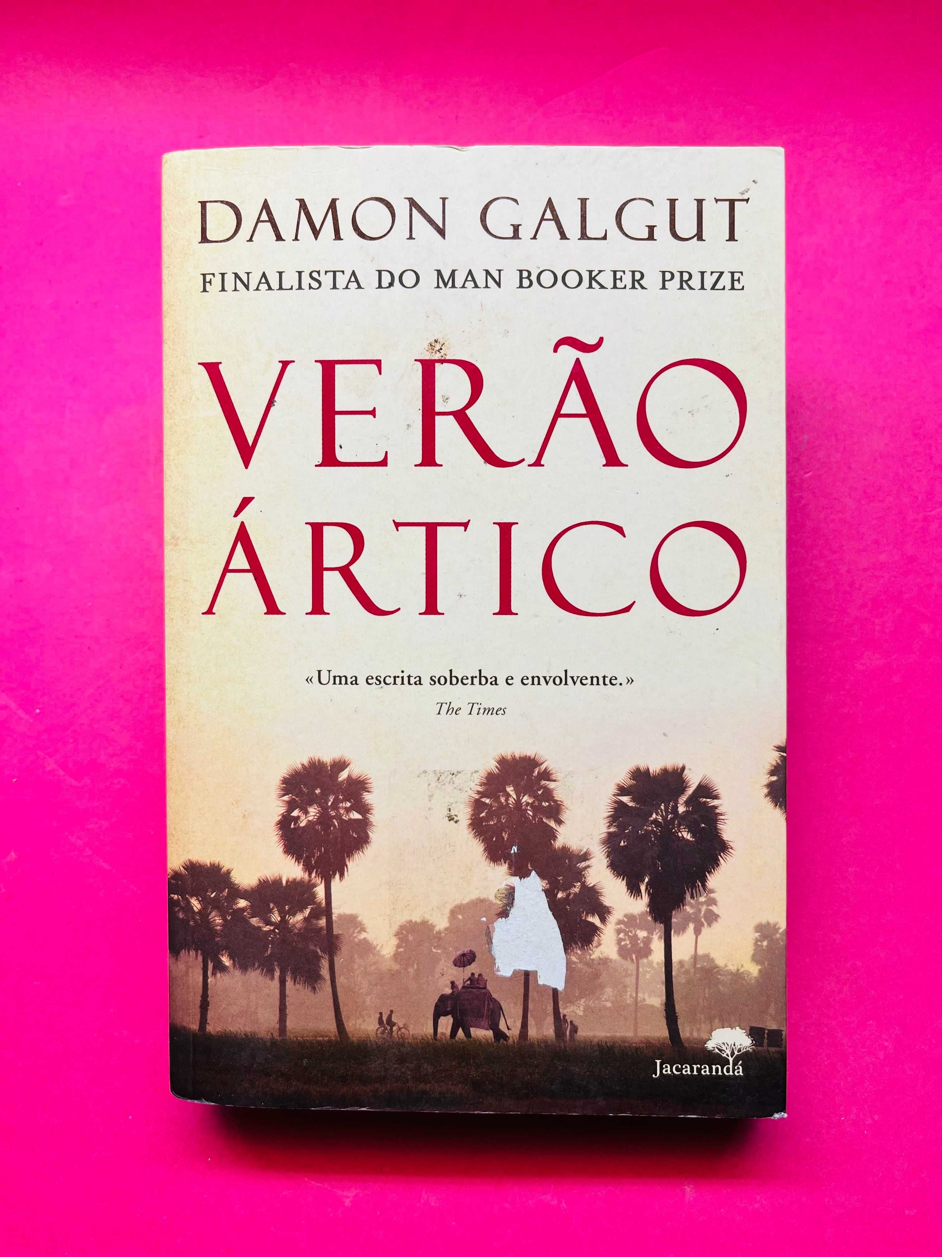 Verão Ártico - Damon Galgut