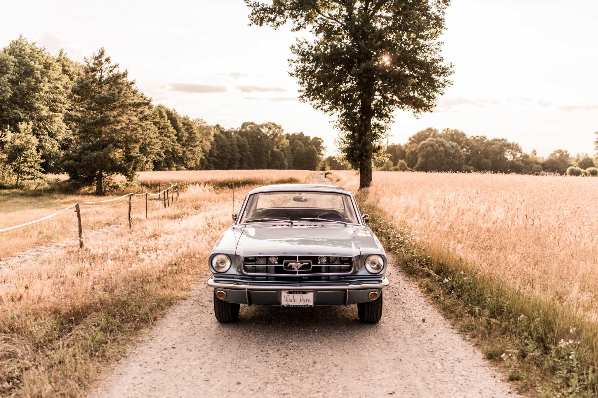 Auto do ślubu Ford Mustang 1965 (Płock i okolice +100km, Warszawa)