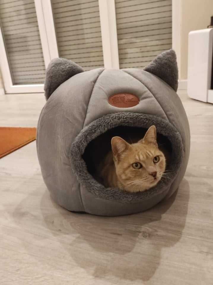 Novo! Cama iglo para gatos