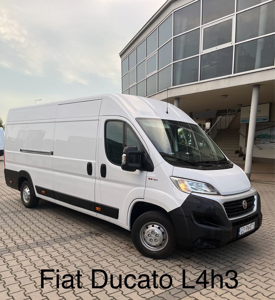 Wynajem busòw, wypozyczalnia busow, bus blaszak, Renaul Master, Ducato