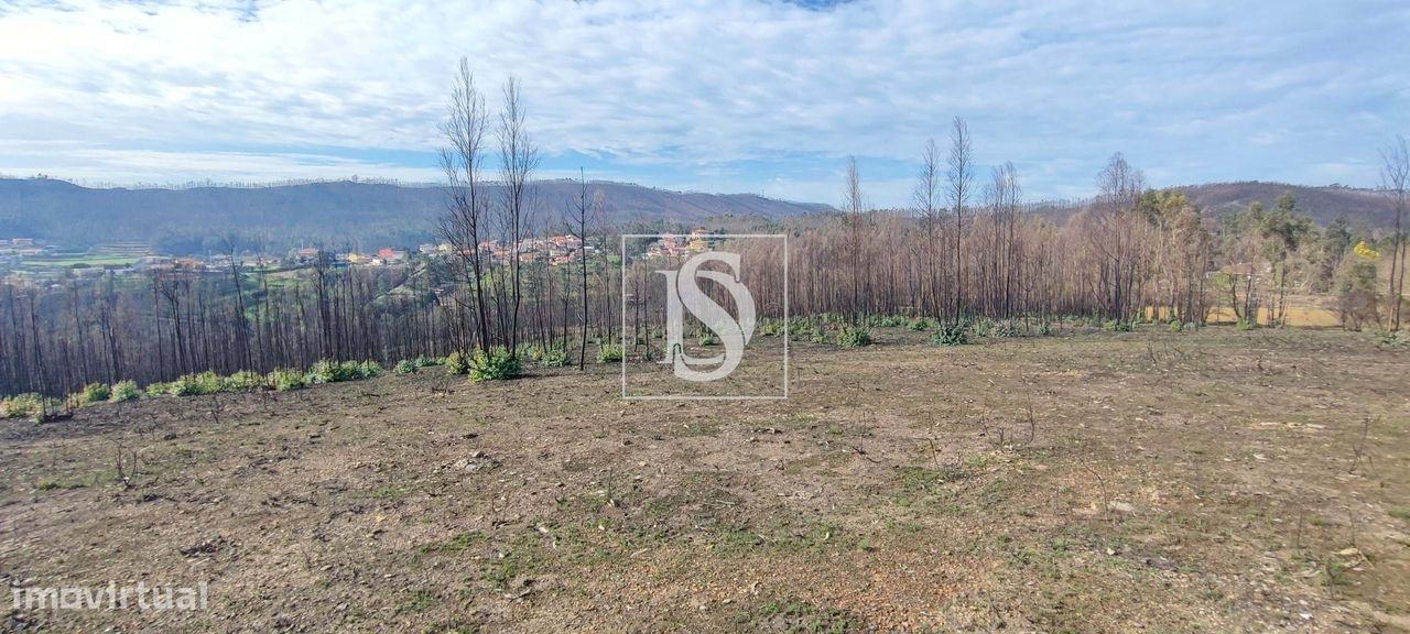 Terreno de 2,4Ha em Melres